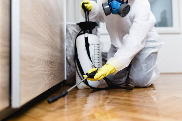 Best Pest Control for Restaurants  in Kent, OH