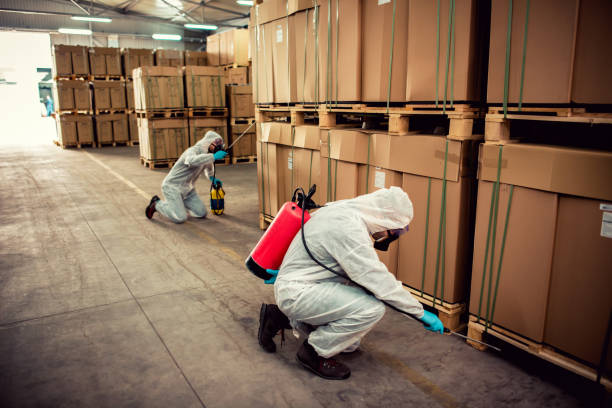 Best Emergency Pest Control  in Kent, OH
