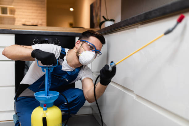 Best Mosquito Control Services  in Kent, OH