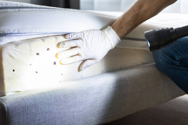 Pest Control for Restaurants in Kent, OH